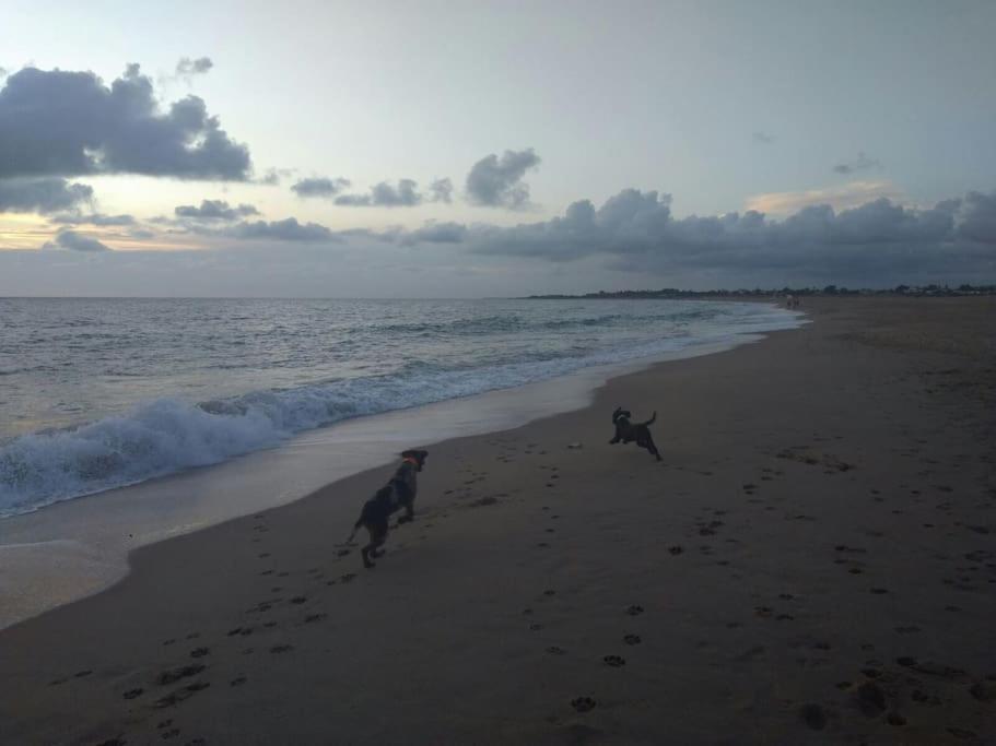 Precioso Apartamento A 50 Metros De La Playa Rincón de la Victoria Exteriör bild